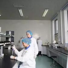 新乳業(yè)攜手丁香醫(yī)生推出活潤晶球酸奶，以生物技術(shù)開拓益生菌功能新路徑